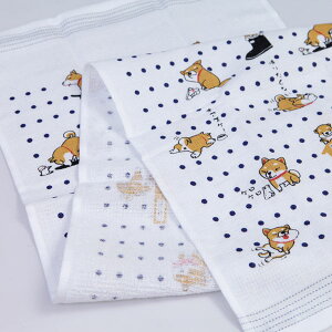 RebNX z Ăʂ ̃R [ Q   y    Č  y