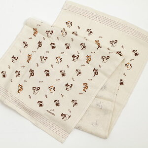 z Ăʂ ƂȂ̃lR RebNX { Q  ˂ L  y  tFCX^I  [ y