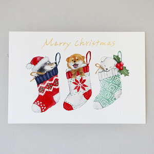 しばいぬとクリスマスポストカード クリスマスソックス (c)村田夏佳 メール便 柴犬 シバイヌ 絵はがき y