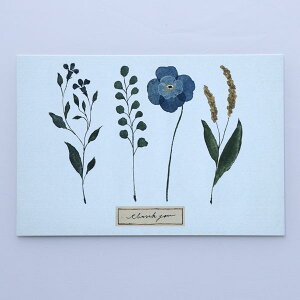 pampeliska 水色 thank you ポストカード 絵はがき メール便 フラワー 花柄