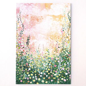 Momo Rogers D |XgJ[h G͂ [