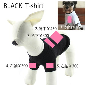 �y�b�g�pT�V���c ������ ���O���� ���� ���^�� ���^�� �a���� �v���[���g ���킢�� �ĕ� ������ ������ꈤ���̖��O�����Đ��E��1�������I�M�t�g�ɂ҂�����Ȍ��p�E�F�A�ł��B�v ���A�� S