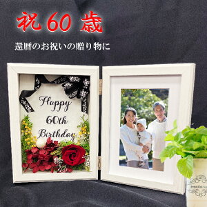 Mtg [Y җj vU[uht[ o tHgt[ [݂VbN ȃfUC փrOCeA  v[gMtg bsOt 