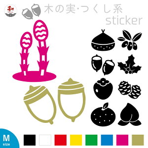 ؂̎nXebJ[yMTCY z10 8F 1炲OK ₨̑KXa߂ DȃCAEgœ\ [