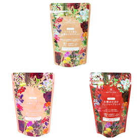 身体の芯から温かく温活オーガニックハーブティーセット（生分解性ティーバッグ3種 計31杯分）お試し 送料無料 お茶 デカフェ ノンカフェイン 妊婦 冷え 冷房 食品 おしゃれ 生姜 ジンジャー シナモン ルイボスティー 水出し 有機栽培 無添加 チャイ