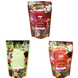 美容を心掛けている方へおすすめオーガニックハーブティーセット（生分解性ティーバッグ3種 計31杯分）お試し 送料無料 お茶 デカフェ ノンカフェイン 妊婦 女性 食品 おしゃれ アイスティー ローズヒップ ルイボスティー 水出し 有機栽培 無添加 美活