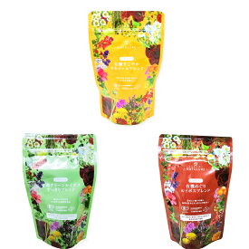 ダイエットを心掛けている方へおすすめオーガニックティーセット（生分解性ティーバッグ3種 計31杯分）お試し 送料無料 お茶 デカフェ ノンカフェイン 妊婦 パック 食品 おしゃれ ハーブティー ルイボスティー カモミール 腸活 水出し 有機栽培 無添加