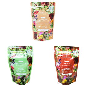 オーガニックルイボスティーセット（生分解性ティーバッグ3種 計26杯分）お試し 送料無料 お茶 デカフェ ノンカフェイン ミルクティー パック 冷房 食品 おしゃれ ハーブティー 水出し グリーンルイボス ルイボスティー 水出し 有機栽培 無添加 チャイ