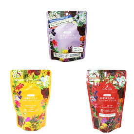 日々の疲れに安眠オーガニックハーブティーセット（生分解性ティーバッグ3種 計29杯分）お試し 送料無料 お茶 デカフェ ノンカフェイン 妊婦 パック 食品 おしゃれ ハーブティー 生姜 睡眠 温活ラベンダー カモミール 腸活 水出し 有機栽培 無添加