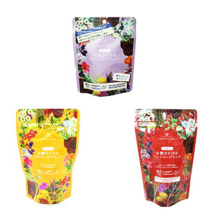 ���X�̔��Ɉ����I�[�K�j�b�N�n�[�u�e�B�[�Z�b�g�i�����𐫃e�B�[�o�b�O3�� �v29�t���j������ �������� ���� �f�J�t�F �m���J�t�F�C�� �D�w �p�b�N �H�i ������� �n�[�u�e�B�[ ���I ���� 