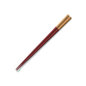 zO    h  B   zOh p  23cm ؒnC         5cm h     8cm h zOh zO { Y  Mtg 蕨 v[g ̓ 