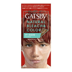 GATSBY(�M���c�r�[) �i�`�������u���[�`�J���[ (��򕔊O�i) �X�^���_�[�h�g�[�� �N�[�����[ 1��