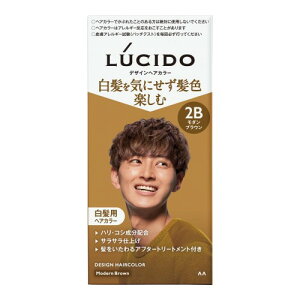 LUCIDO(���V�[�h) ��򕔊O�i�f�U�C���w�A�J���[ ���_���u���E�� [ �������� �����Y ] [ �N���[���^�C�v ] [ �������C�ɂ��� ���邢���F �y���߂� ]