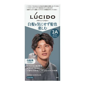 LUCIDO(���V�[�h) ��򕔊O�i�f�U�C���w�A�J���[ �N�[���A�b�V�� [ �������� �����Y ] [ �N���[���^�C�v ] [ �������C�ɂ��� ���邢���F �y���߂� ]