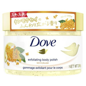 Dove (�_��) �{�f�B�X�N���u �L�����N�Z�C �{�� 298g �p���P�A ������ ������ �M�t�g �{�f�B�P�A
