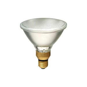 �G���p(ELPA) �n���Q���r�[�������v�U��65W EBRF110V65W