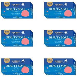 ܂ƂߔV{ r[eB[\[v 100g×3×6