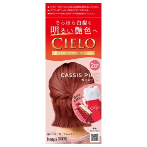 ߃VG wAJ[ N[ 2CPiJVXsNj邢 z[[ fB[X ZtJ[ 򕔊Oicielo hoyu