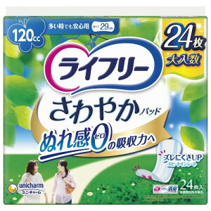 Ct[ ₩pbh p 120cc łSp 24 29cmAꂪCɂȂ