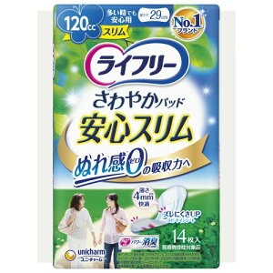 Ct[ ₩pbhX p 120cc łSp 14 29cmAꂪCɂȂ