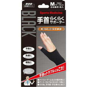 Rc ubN 炭炭T|[^[ p MTCY (܂16~18cm) 