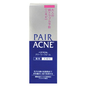 LION �y�A�A�N�l �N���[�~�[�t�H�[�� ��p��痿 80g(��򕔊O�i)