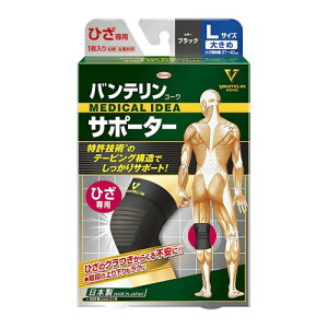 oeT|[^[ Ђp 傫/LTCY(Ђ 37-4cm) ubN G̕Sy