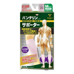 oeT|[^[ ӂ͂AVXg ӂ/MTCY(ӂ͂ 32~37cm) CgsN 2