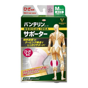 oeT|[^[ Ђp ӂ/MTCY(Ђ 34~37cm) CgsN