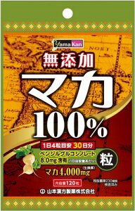 �R�{�������� �}�J��100%NB 120��