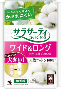 TT[eB Rbg100 ChO Ƃ傫STCY  ̃V[g 40 ѐ