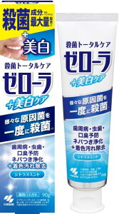 [[ { PA 90g Eې őʔz a  L\h lo VgX~g pn~KL򕔊Oi