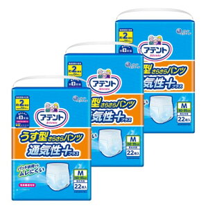 Aeg ^炳pc ʋCvX M jp 66(22×3)ΕP[X̔