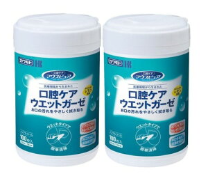 �����p 2�Z�b�g �J�����g �}�E�X�s���A ���o�P�A �E�G�b�g�K�[�[ �{��100����×2�Z�b�g