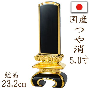 y|Cg10{zʔv Yʔv {h   ʋ 5.0    Y _