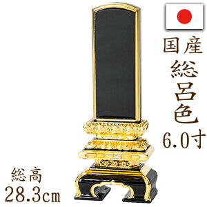 y|Cg10{zʔv Yʔv ʎh グ q CF ʋ 6.0    Y _