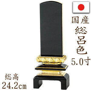 y|Cg10{zʔv Yʔv ʎh グ dC CF ʋ 5.0    Y _