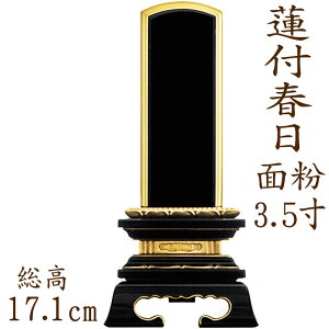 y|Cg10{zʔv hʔv @tt^ ʕ 3.5 ʔv    hʔv _  ybg