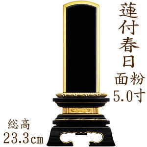 y|Cg10{zʔv hʔv @tt^ ʕ 5.0 ʔv    hʔv _  ybg