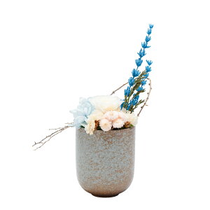 y11/14~11/16b|Cg2{z  uv BUCCCA vU[uht[ 3F F F F e z x_[ ~ r ފ ~   @  