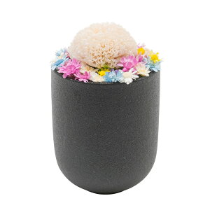 y10/30~11/1b|Cg2{z  u炤v BUCCCA vU[uht[ 3F gF F F ||e ~ r ފ ~   @   蕨