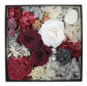 y}\b|Cg2{z  ̓ t[{bNX BUCCCA vU[uht[ 4F ~ r ފ ~   @   蕨