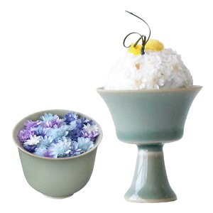 yŋzz   u͂Ƃv BUCCCA d dp vU[uht[ ~ r ފ ~ ͂   ~  Zbg Pi BOX 