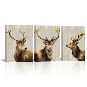 �y3���Z�b�g�z�|�X�^�[�t���[�� �A�[�g�t���[�� �L�����o�X �|�X�^�[ 30×40cm �C���e���A �G �G�� �C���e���A �Ǌ|�� �G �t���[�� �z�� �|�X�^�[ �Ǌ|�� �Ǐ��� ������� �A�[�g�p�l�� �k ����