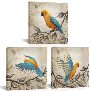 y3Zbgz|X^[t[ A[gt[ LoX |X^[ 30×30cm CeA G Ǌ| G t[ z |X^[ Ǌ| Ǐ  A[gpl IE  H ʉ