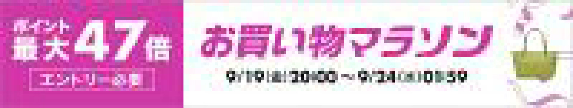 SS公式