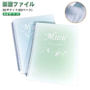 �y���t�@�C�� �y������ A4 30�|�P�b�g 60�y�[�W �����O�� ���ʃ^�C�v ���t�y ���� ��e�� 2���Z�b�g