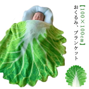 ���؂������ 100×100cm �V���� �u�����P�b�g �j���[�{���t�H�g �Q������ ������� �Ԃ���� �މ@ �o�Y�j�� �M�t�g