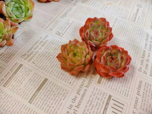 A 񂹐Ac GPxA VK[NX^ sN O[ 3cm4cm Jbgc K[f ܂ v[g