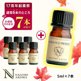 【創業祭記念★1本増量中】アロマ エッセンシャルオイル 選べる 精油 各5ml×6本 セット 【送料無料】 アロマオイル ラベンダー ジュニパーベリー ローズマリー ハッカ 天然 AEAJ 認定 ランキング入賞 アロマストーン アロマディフューザー s1